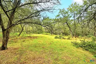 771 Mary Preiss Dr, New Braunfels, TX 78132 - Photo 29