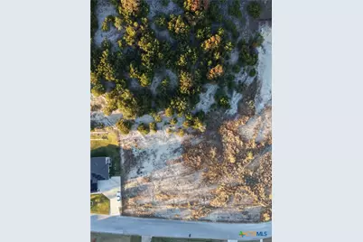 3419 Shoreline Drive, Harker Heights, TX 76548 - Photo 7