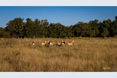 7702 Ranch Road 965, Llano, TX 78643 - Photo 25