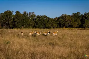 7702 Ranch Rd 965, Llano, TX 78643 - Photo 25