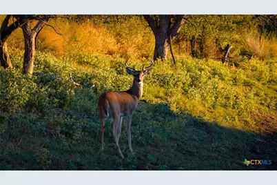 7702 Ranch Road 965, Llano, TX 78643 - Photo 23