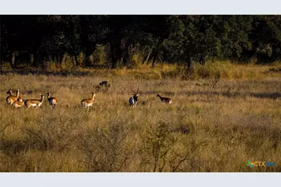 7702 Ranch Road 965, Llano, TX 78643 - Photo 27