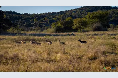 7702 Ranch Road 965, Llano, TX 78643 - Photo 3