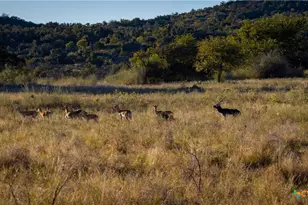 7702 Ranch Rd 965, Llano, TX 78643 - Photo 3