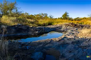 7702 Ranch Rd 965, Llano, TX 78643 - Photo 45