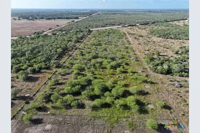 6590 Hwy 59, Goliad, TX 77963 - Photo 15