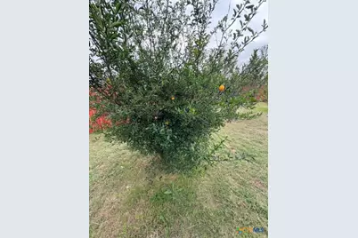 902 Draco Drive, Killeen, TX 76542 - Photo 23