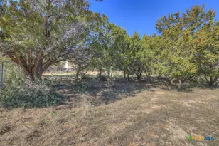 116 Crestview Dr, Canyon Lake, TX 78133 - Photo 37