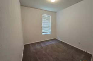 334 Mistflower, New Braunfels, TX 78130 - Photo 13