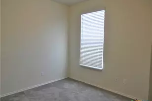 334 Mistflower, New Braunfels, TX 78130 - Photo 35