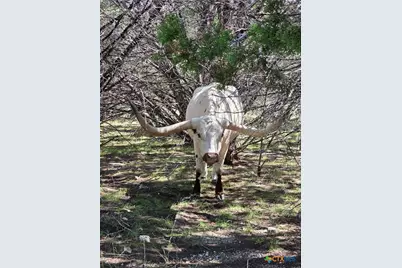 853 County Road 4390, Kempner, TX 76539 - Photo 5