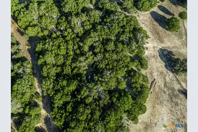 853 County Road 4390, Kempner, TX 76539 - Photo 27