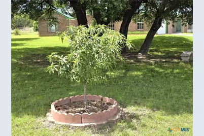 853 County Road 4390, Kempner, TX 76539 - Photo 7