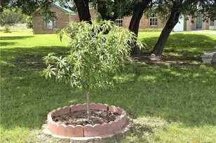 853 County Rd 4390, Kempner, TX 76539 - Photo 7