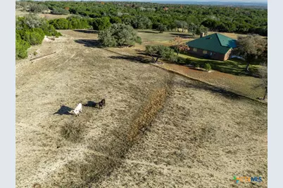 853 County Road 4390, Kempner, TX 76539 - Photo 23