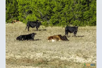 853 County Road 4390, Kempner, TX 76539 - Photo 23