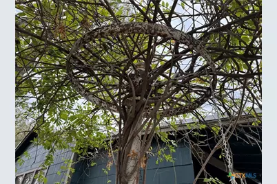 530 E Weinert Street, Seguin, TX 78155 - Photo 5