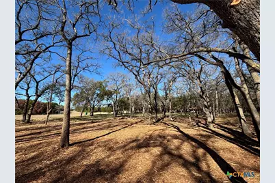 157 Cedar Mountain Road, Gatesville, TX 76528 - Photo 3