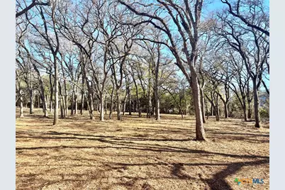 157 Cedar Mountain Road, Gatesville, TX 76528 - Photo 7
