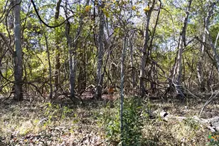 Tbd Darst Creek Ln, Seguin, TX 78155 - Photo 11