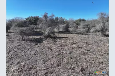 Tbd 10th, Range, 11th, Mehnert, Yorktown, TX 78164 - Photo 33