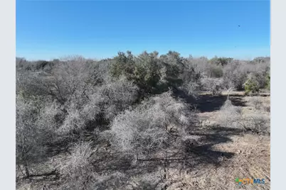 Tbd 10th, Range, 11th, Mehnert, Yorktown, TX 78164 - Photo 35