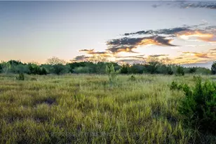 443 Cleveland Wy, New Braunfels, TX 78130 - Photo 29