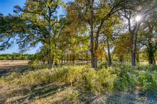 20949 Firefly Rd, Florence, TX 76527 - Photo 29