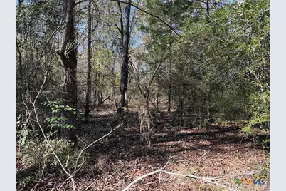 Tbd County Road 301 Tract 7, Fairfield, TX 75855 - Photo 1