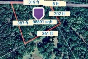 Tbd County Road 301 Tract 7, Fairfield, TX 75855 - Photo 13