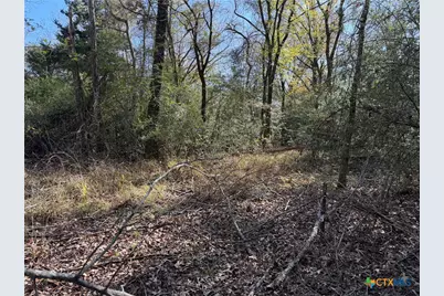 Tbd County Road 301 Tract 7, Fairfield, TX 75855 - Photo 5