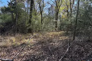 Tbd County Road 301 Tract 7, Fairfield, TX 75855 - Photo 5