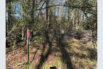 Tbd County Road 301 Tract 7, Fairfield, TX 75855 - Photo 3