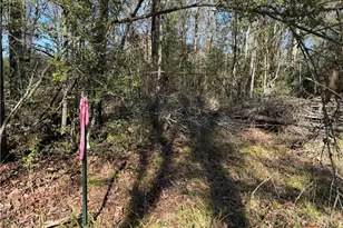 Tbd County Road 301 Tract 7, Fairfield, TX 75855 - Photo 3