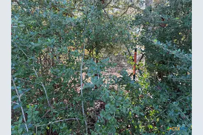 Tbd County Road 301 Tract 7, Fairfield, TX 75855 - Photo 7