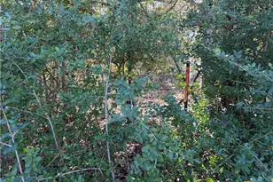 Tbd County Road 301 Tract 7, Fairfield, TX 75855 - Photo 7