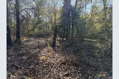 Tbd County Road 301 Tract 7, Fairfield, TX 75855 - Photo 11