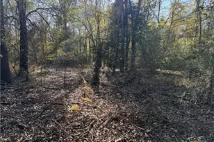 Tbd County Road 301 Tract 7, Fairfield, TX 75855 - Photo 11