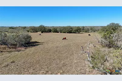 7180 Cr 283, Harwood, TX 78632 - Photo 5