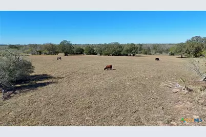 7180 Cr 283, Harwood, TX 78632 - Photo 7