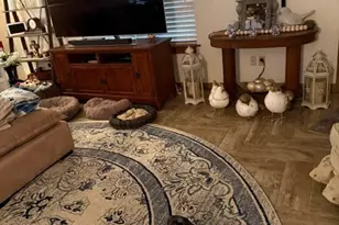 [Address not provided], Nixon, TX 78140 - Photo 13