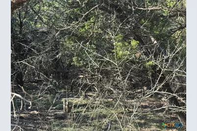 5982 Buggy Ride Road, Temple, TX 76502 - Photo 3