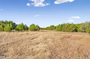 706 Co Rd 3376, Kempner, TX 76539 - Photo 31