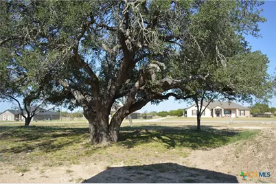 425 County Road 3152, Kempner, TX 76539 - Photo 43