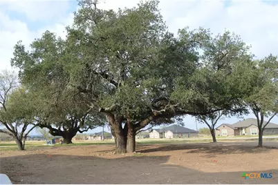 425 County Road 3152, Kempner, TX 76539 - Photo 45