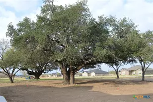 425 County Rd 3152, Kempner, TX 76539 - Photo 45