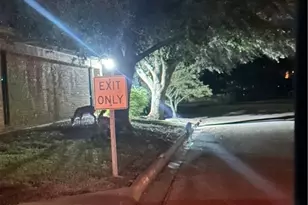 513 Myra Lou Ave, Copperas Cove, TX 76522 - Photo 27