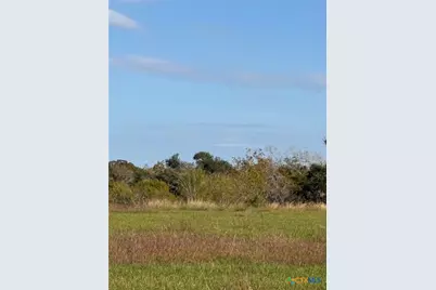 000 River Hollow Way, Blessing, TX 77419 - Photo 5