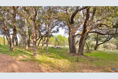 1250 Rocky Hollow Drive, Burnet, TX 78611 - Photo 9