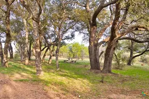 1250 Rocky Hollow Dr, Burnet, TX 78611 - Photo 9